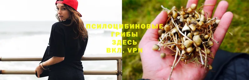 Псилоцибиновые грибы Magic Shrooms Нариманов